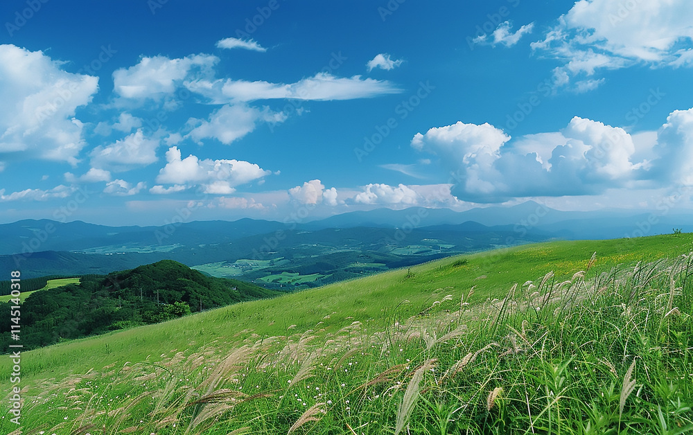 Fototapeta premium 22 Clear sky, hill, blue landscape photo_A beautiful landscape photo of a clear, transparent blue sky, trees, and green fields.