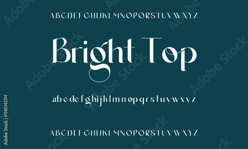 Luxury serif font in modern style. Elegant wedding alphabet letters font and number. Typography Luxury classic lettering serif fonts decorative vintage retro