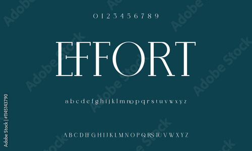 Classic serif font alphabet letters fancy gentle typographic design. Elegant typography. Retro slick serif letter set for wedding card, restaurant menu, headline, lettering.