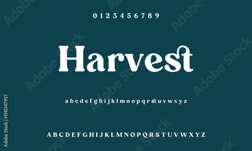 Classic serif font alphabet letters fancy gentle typographic design. Elegant typography. Retro slick serif letter set for wedding card, restaurant menu, headline, lettering.