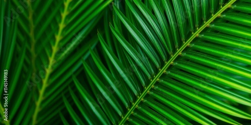 Close up shot of a vibrant green palm leaf showcasing its unique texture and tropical essence, close up, green, vibrant