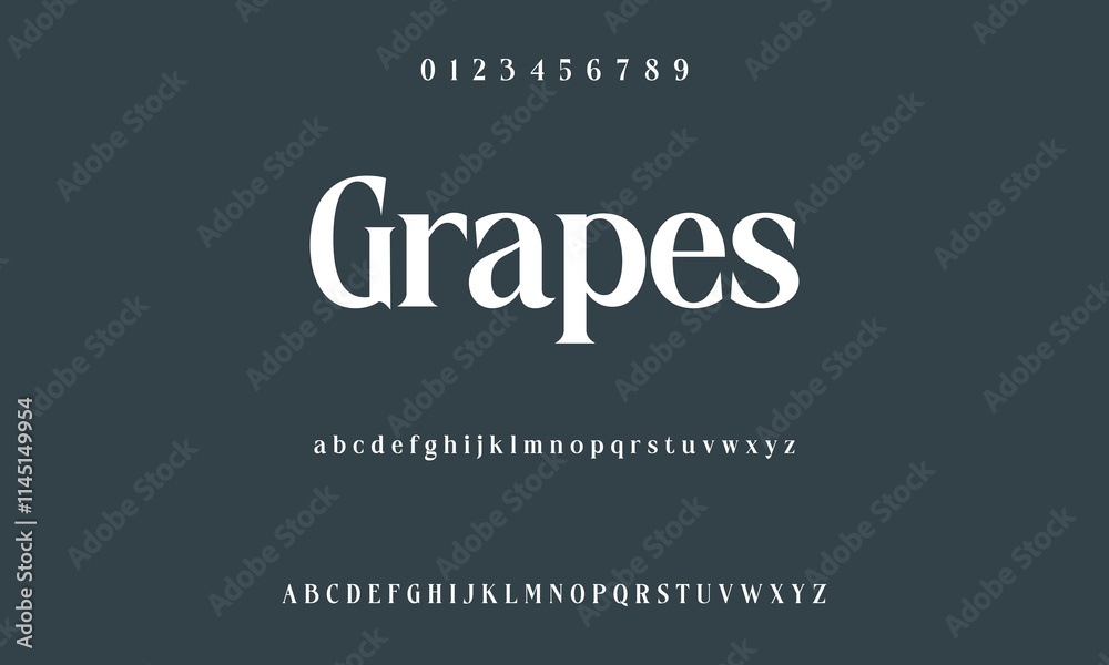 Luxury serif font in modern style. Elegant wedding alphabet letters font and number. Typography Luxury classic lettering serif fonts decorative vintage retro logo Luxury serif font in modern style. Elegant wedding alphabet letters font and number. Typography Luxury classic lettering serif fonts decorative vintage retro logo