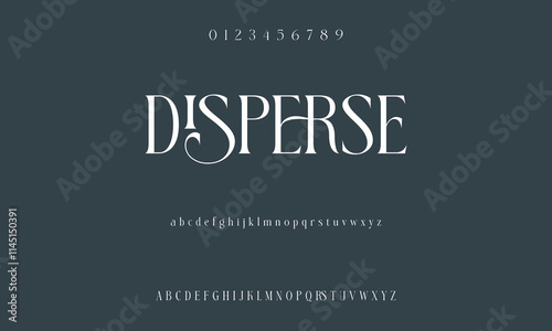 Luxury serif font in modern style. Elegant wedding alphabet letters font and number. Typography Luxury classic lettering serif fonts decorative vintage retro logo