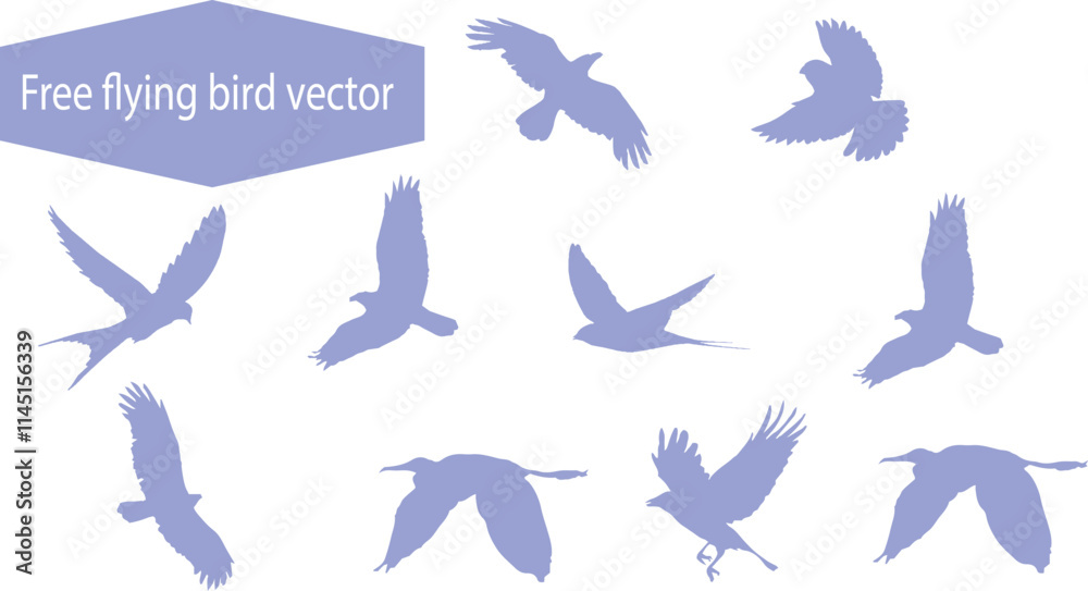 Free flying bird vector Free flying bird vector