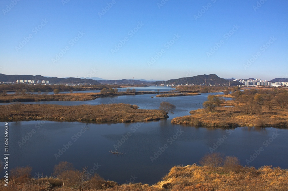 Fototapeta premium 대구광역시 달성습지