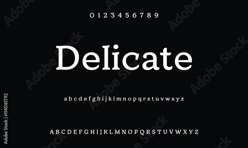 Classic serif font alphabet letters fancy gentle typographic design. Elegant anthique typography. Retro slick serif letter set for wedding card, restaurant menu, headline, lettering. Vector typeset