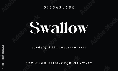 Classic serif font alphabet letters fancy gentle typographic design. Elegant anthique typography. Retro slick serif letter set for wedding card, restaurant menu, headline, lettering. Vector typeset