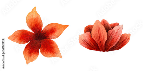 Wallpaper Mural Watercolor illustration of red and orange flowers with a gradient and delicate textures. Artistic hand painted floral elements in warm tones, ideal for invitations, cards, scrapbooking, and textile Torontodigital.ca
