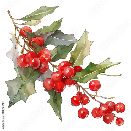 watercolor Christmas holiday red berries branch painting collection isolated on a white background, vector flat watercolor design painting, Christmas