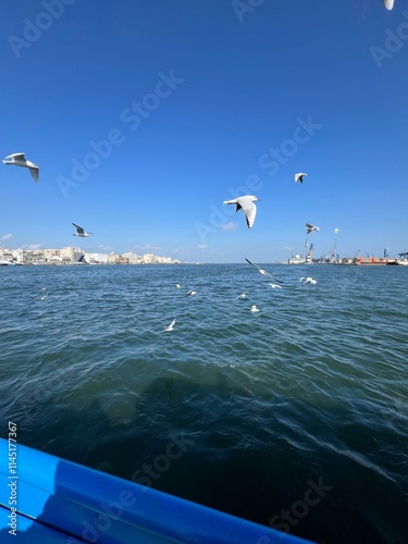 Quadro su tela Seagulls Soaring: picturesque view port said egypt of seagulls gracefully flying over the shimmering blue waters