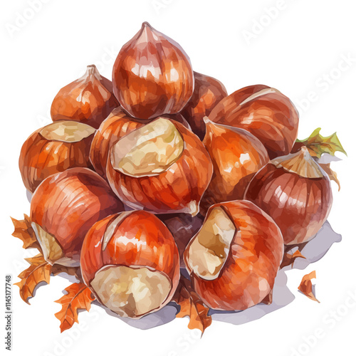 watercolor Christmas roasted chestnuts painting collection isolated on a white background, vector flat watercolor