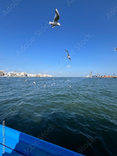 Billede på lærred Seagulls Dance on the Horizon: port said egypt A flock of seagulls in flight over a tranquil sea, viewed from a small blue boat