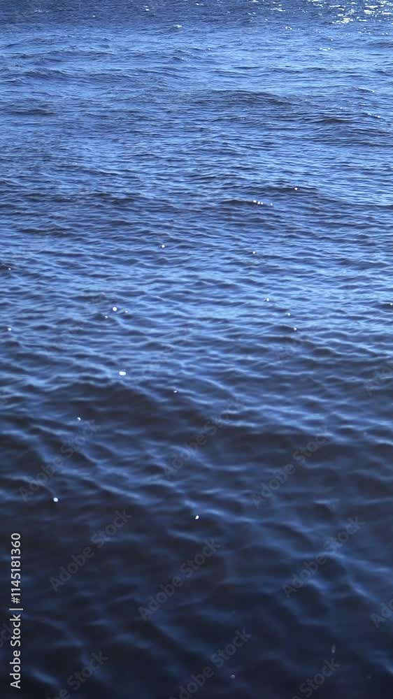 The tranquil water surface exhibits gentle ripples glimmering under the warm sunlight The tranquil water surface exhibits gentle ripples glimmering under the warm sunlight