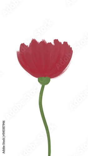 painted red flower digital art on transparent background