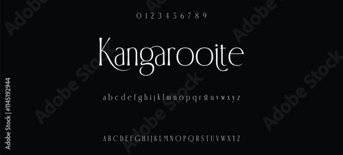 Luxury serif font in modern style, this typeface has a big set of ligatures and alternates and can be used for logos