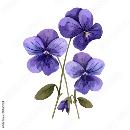 A watercolor vector of bright purple violets blooming, isolated on a white background. Violet flowers vector.
