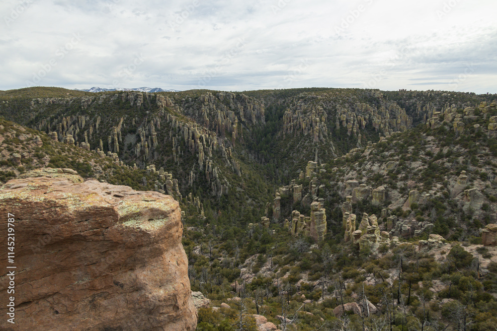 Fototapeta premium Mountain landscape at Chiricahua National Monument, Arizona