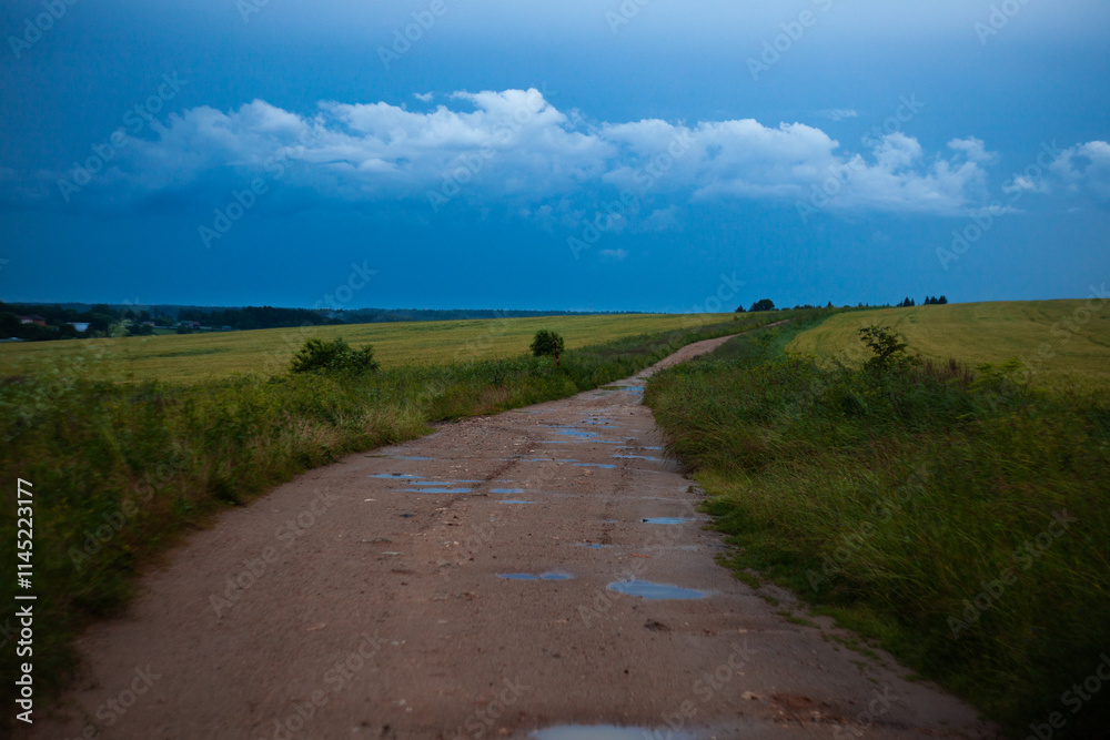 Fototapeta premium field, ears of corn, thunderstorm, village, trees, wind