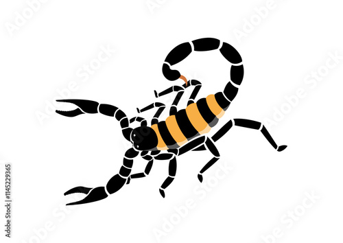 scorpion,animal