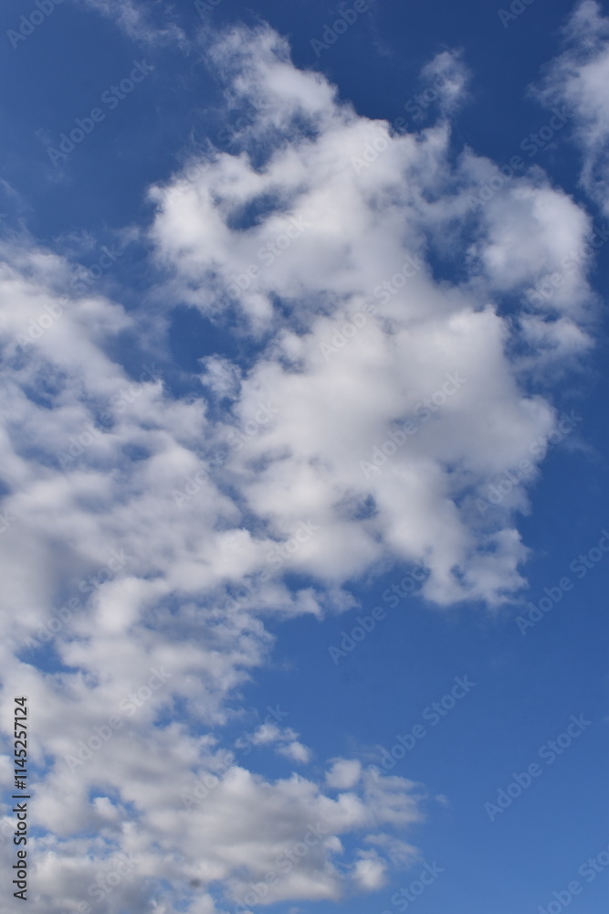 Fototapeta premium Blue Sky-28