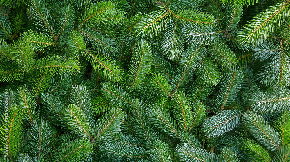 Close-up of fir branches — green background for Christmas decor and festive atmosphere Close-up of fir branches — green background for Christmas decor and festive atmosphere