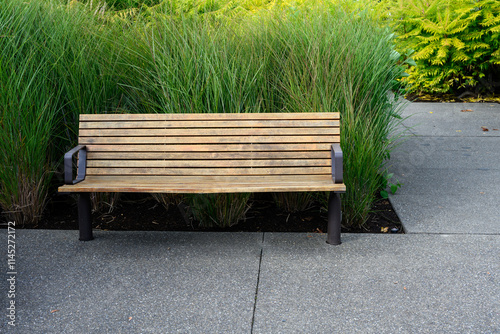 Wood and iron bench on a sunny fall day with a background of tall green leaves of ornamental grasses, peaceful rest in nature and fresh air 