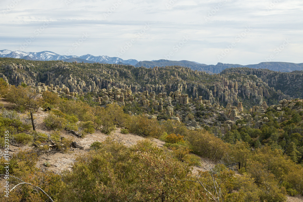 Fototapeta premium Rock formations at Chiricahua National Monument, Arizona