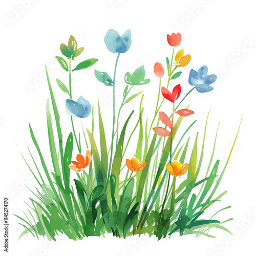 A watercolor drawing of green grass and colorful spring flowers, isolated on a white background. Green grass and colorful spring flowers vector.
