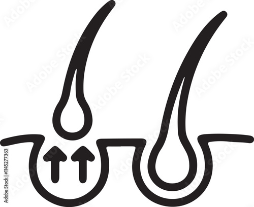 Illustration of hair emerging from its root upwards with an upward arrow icon silhouette