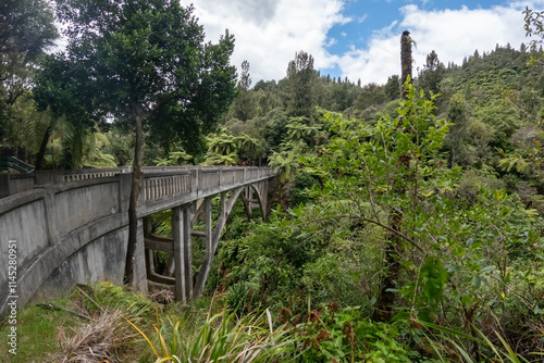 Bridge to Nowhere: Abandoned Scenic Landmark in Whanganui National Park, New Zealand's Remote Wilderness photo