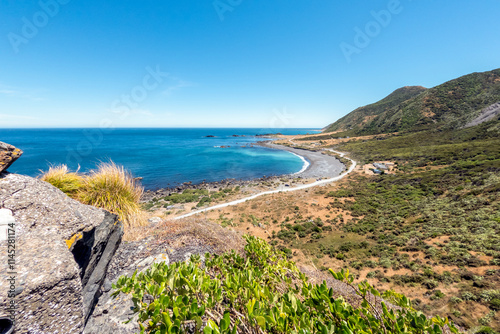 Rocky Coastline Beach at Cape Palliser and Palliser Bay – Rugged Coastline, Seal Colony, and Dramatic Cliffs in Wairarapa, New Zealand photo