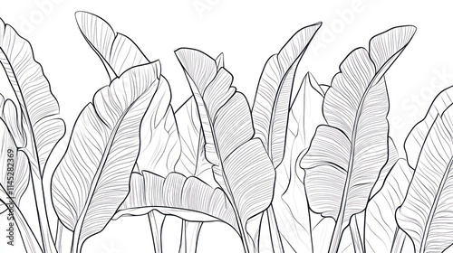 Line art illustration of banana leaves.