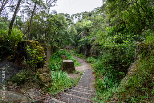 Obraz na płótnie Karangahake Gorge: Scenic River Gorge and Historic Trails in Lush Rainforest, Waikato, New Zealand w salonie