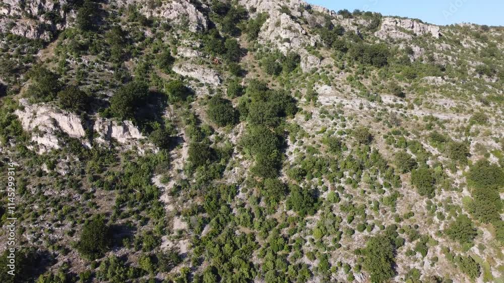 Aerial drone view of green bushes on the hill. Slope of the mountain in summer. Trees and bushes growing on the hill. Aerial drone view of green bushes on the hill. Slope of the mountain in summer. Trees and bushes growing on the hill.