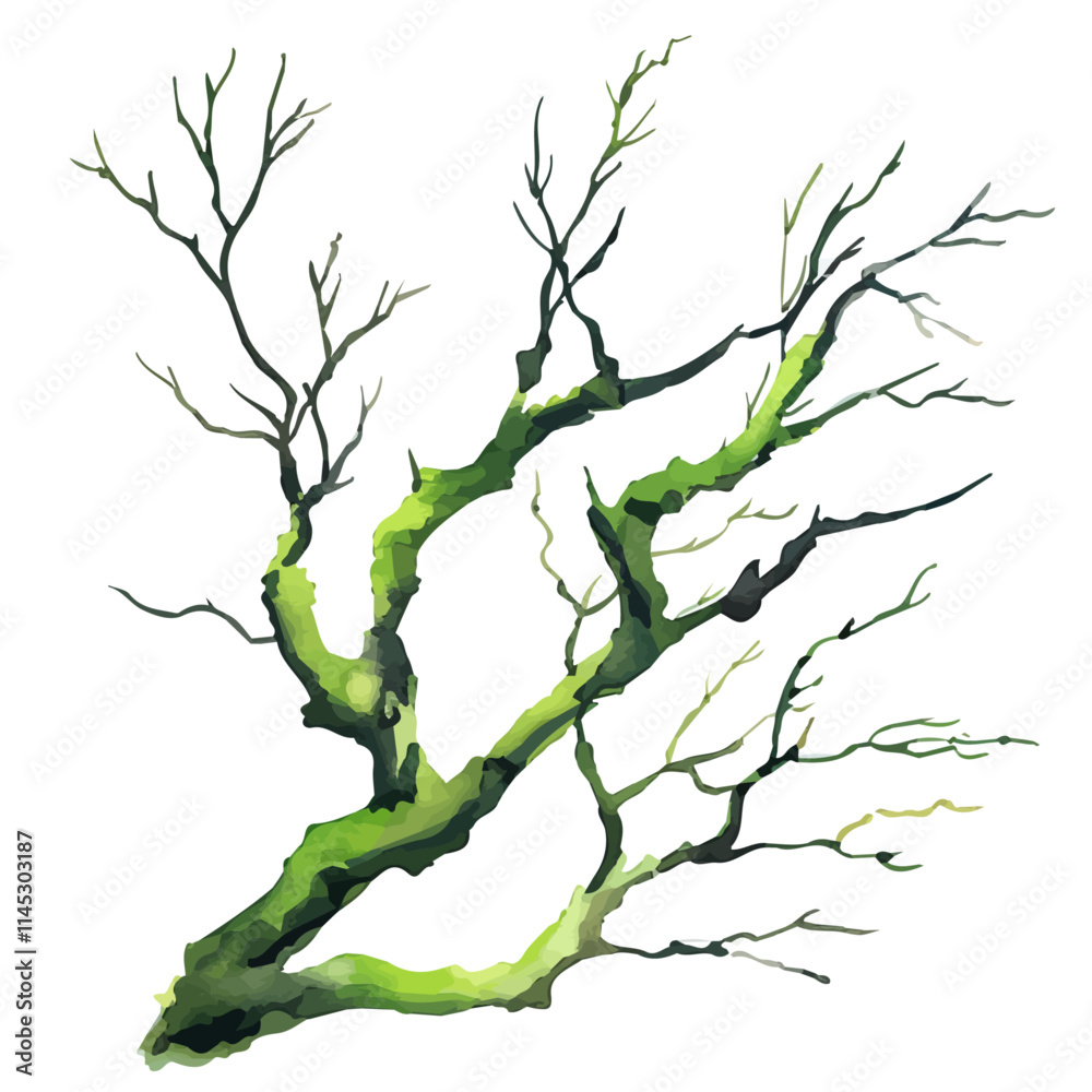 A watercolor painting of soft green moss on tree branches, isolated on a white background. Soft green moss on tree branches vector.
A watercolor painting of soft green moss on tree branches, isolated on a white background. Soft green moss on tree branches vector.