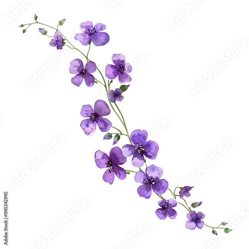A watercolor of tiny purple flowers on a vine, isolated on a white background. Tiny purple flowers on a vine vector.

