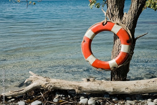 Life preserver hangs on a tree by the lake shore