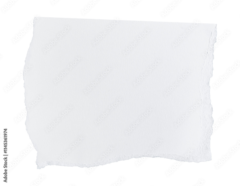 White ripped piece of paper isolated on transparent background PNG file White ripped piece of paper isolated on transparent background PNG file