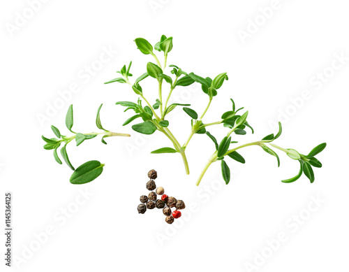 Fresh green thyme leaves, transparent shadow, cooking background design.