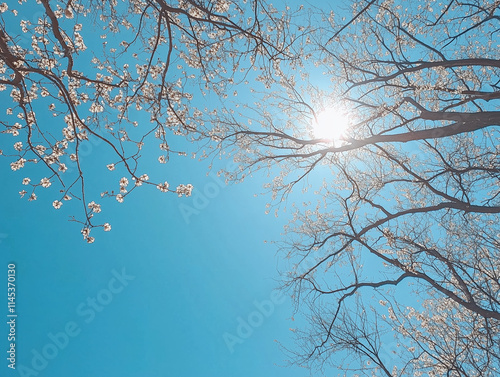 Bright Sun Centered in a Clear Blue Sky Capturing the Essence of Summer Light photo