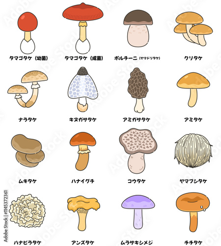 天然キノコ（食用）のイラストセット
