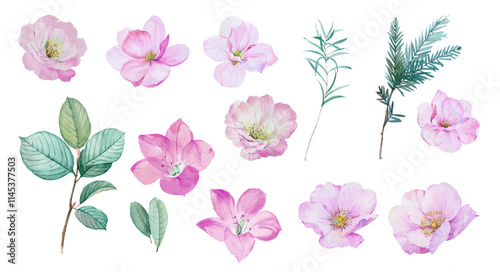 Flower element watercolor illustration. Manual synthesis. Pattern. Design of covers, fabrics, textiles, wrapping paper