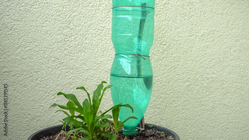 This is a DIY watering system for potted plants using a recycled PET bottle. The bottle is inverted and secured above the soil, providing a slow and steady water supply to the plant.