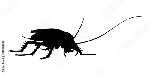 black silhouette of cockroach insect