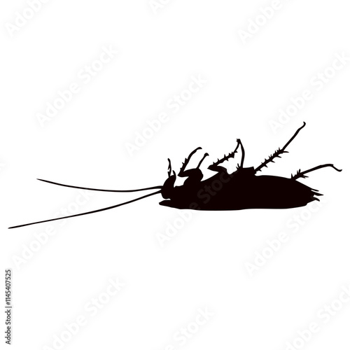 black silhouette of cockroach insect