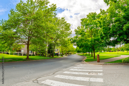 A shady tree lined street in a subdivision of homes across from a park in the suburban city of Coeur d'Alene, Idaho USA.	