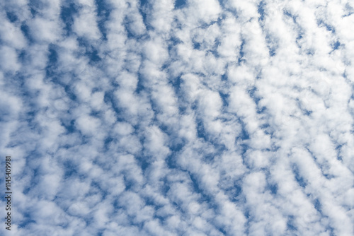 Layer of white puffy clouds, Cirrus and Altocumulus, against a dark blue sky, atmospheric phenomenon as a light filled nature background
 photo