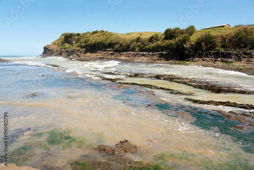 Curio Bay Rugged Coastal Landscape at Low Tide on a Sunny Day - Scenic New Zealand photo