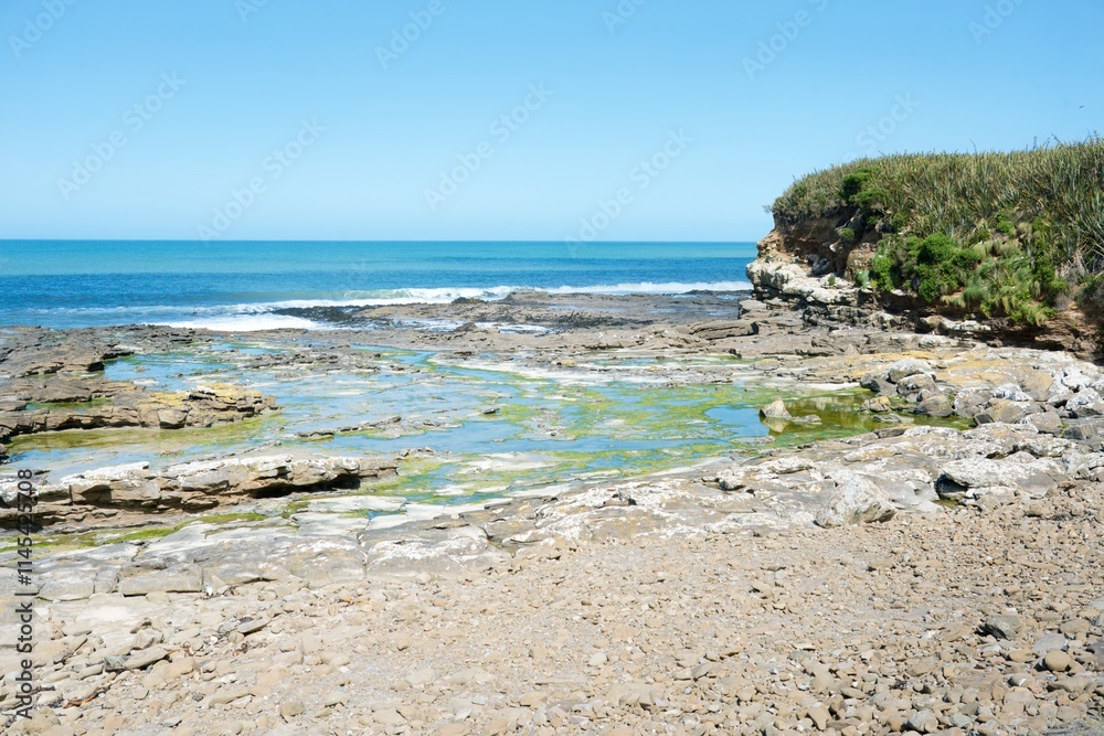 Curio Bay Rugged Coastal Landscape at Low Tide on a Sunny Day - Scenic New Zealand Curio Bay Rugged Coastal Landscape at Low Tide on a Sunny Day - Scenic New Zealand