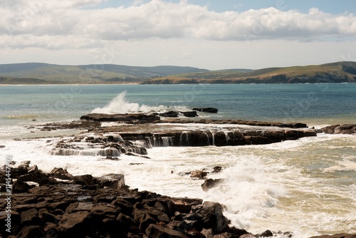 Curio Bay Rugged Coastal Landscape at Low Tide on a Sunny Day - Scenic New Zealand photo